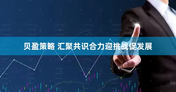 贝盈策略 汇聚共识合力迎挑战促发展
