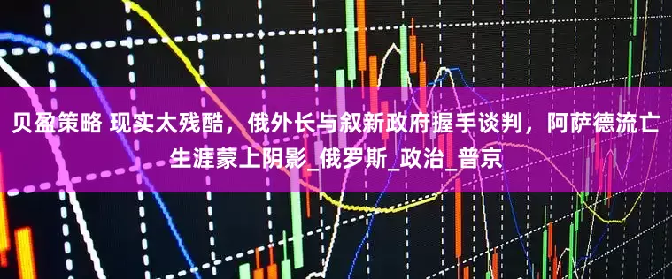 贝盈策略 现实太残酷，俄外长与叙新政府握手谈判，阿萨德流亡生涯蒙上阴影_俄罗斯_政治_普京